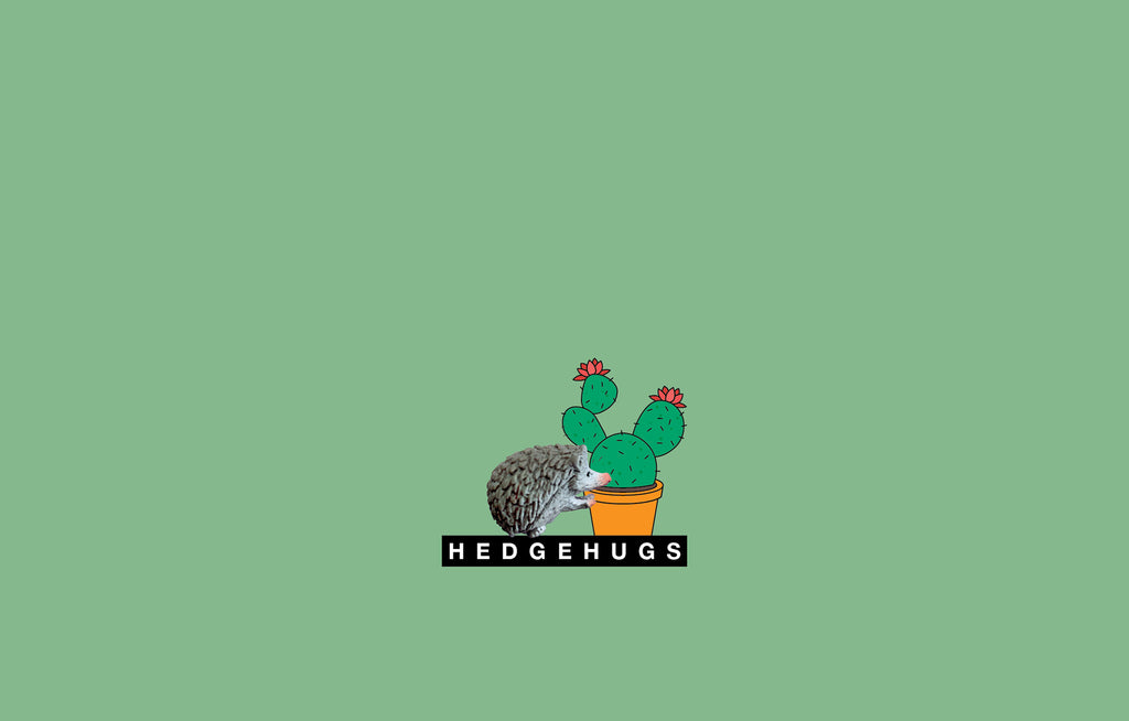 Hedgehugs